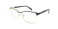 Raiz C1 (Oro/Azul)