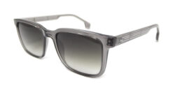 Pontos C1 (Gris)